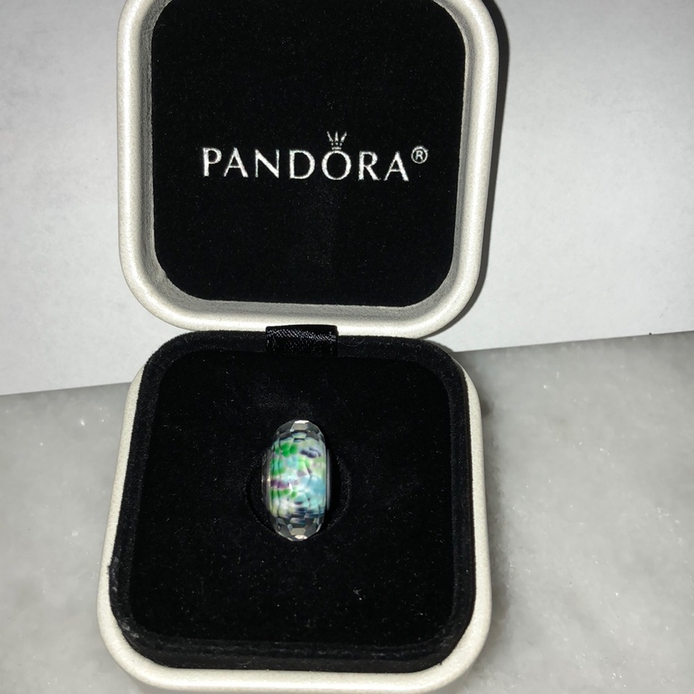 Brand new pandora bracelet charm!